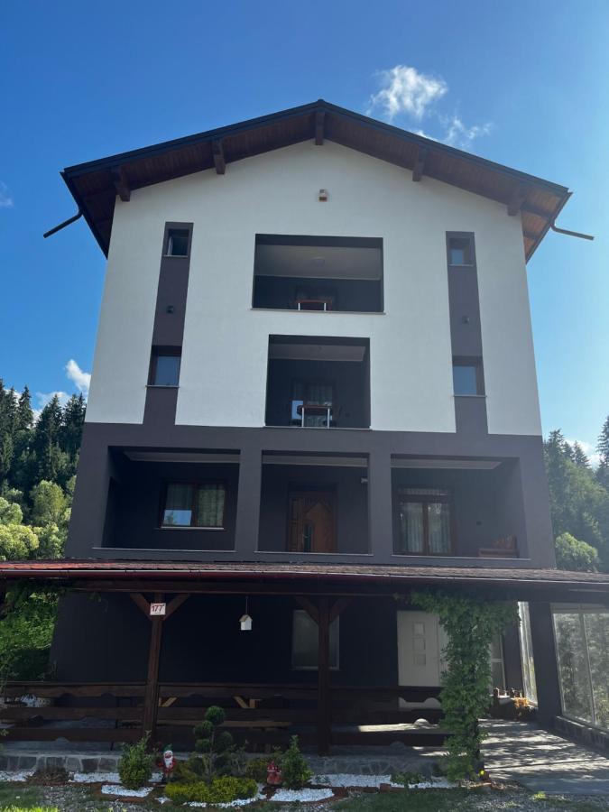 Cazare Luxandra Borşa Exteriér fotografie
